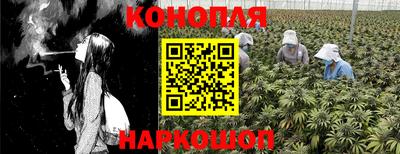 стаф Пенза