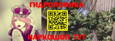 стаф Пенза