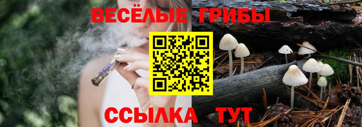 Галлюциногенные грибы прущие грибы Мегион